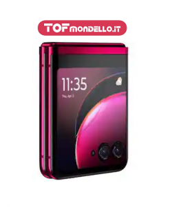 Motorola Razr 50