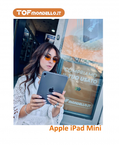 Apple iPad Mini